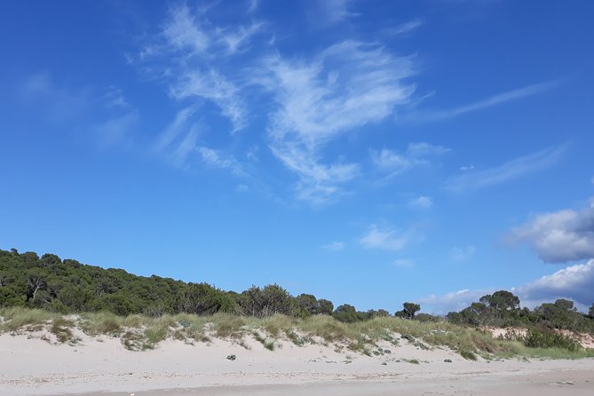 Hiking and Astronomy on the Virgin Coast of Menorca - Stargazing and Astronomy Activities