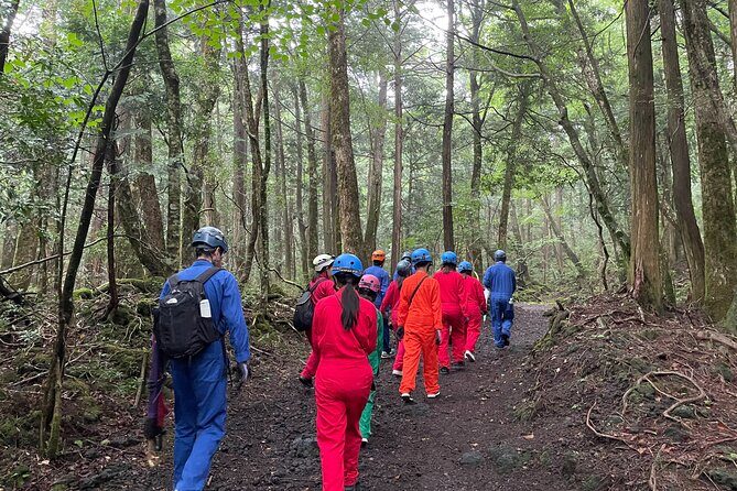 Hiking and Caving in Aokigahara Forest at the Foot of Mt. Fuji - Good To Know