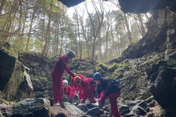 Hiking and Caving in Aokigahara Forest at the Foot of Mt. Fuji - Practical Details & Value