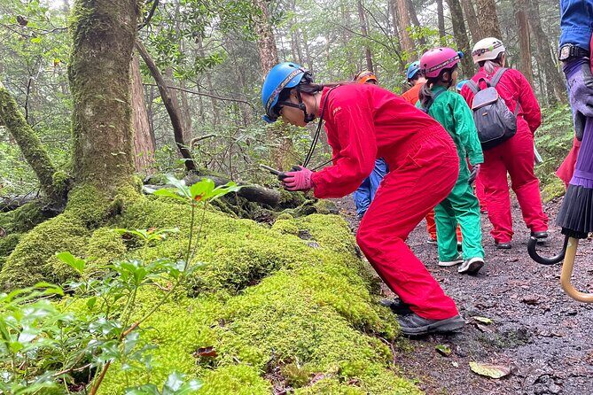 Hiking and Caving in Aokigahara Forest at the Foot of Mt. Fuji - The Sum Up