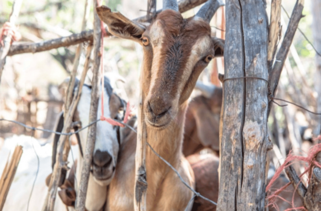Hiking and Rural Turism - Pickup and Drop-off Locations
