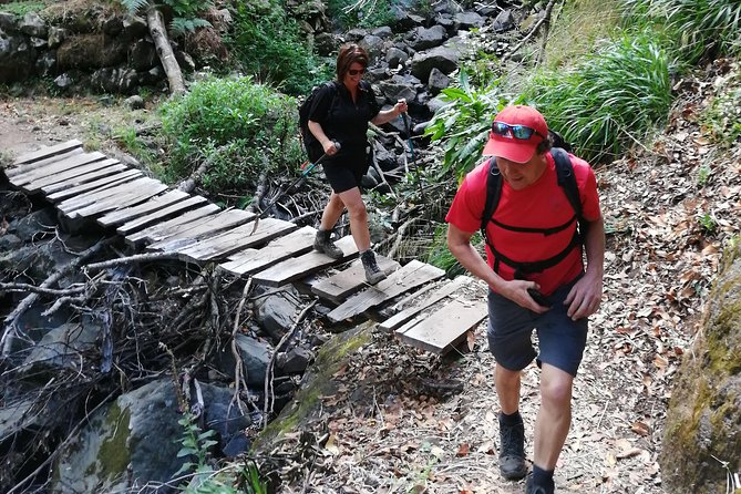 Hiking and Trekking Tours in Madeira - Safety Guidelines and Requirements