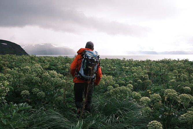 Hiking and Wakeboarding, Waterskiing Trip in Westfjords - Common Questions