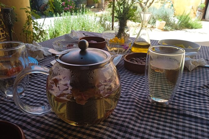 Hiking and Wild Tapas, Discovering the Secret of Plants - Tips for a Memorable Hiking and Tapas Experience