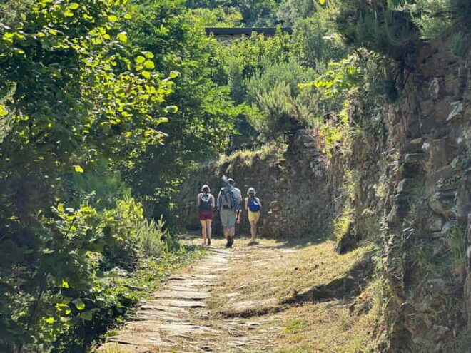 Hiking and Wine Tasting Experience - Biodynamic Farm Visit