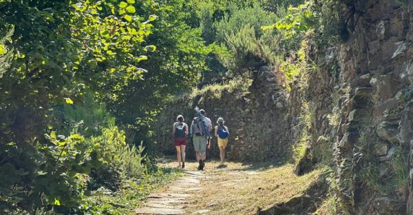 Hiking and Wine Tasting Experience - Packing Recommendations