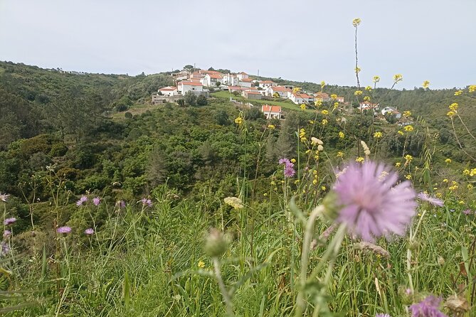 Hiking and Wine Tasting Experience - Included Services