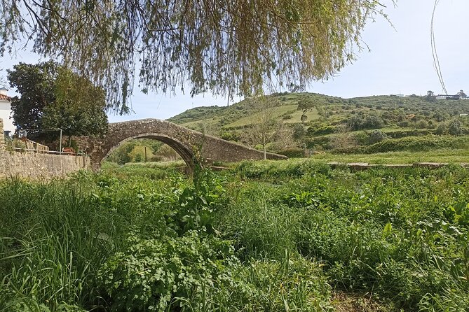 Hiking and Wine Tasting Experience - Booking and Cancellation Policy
