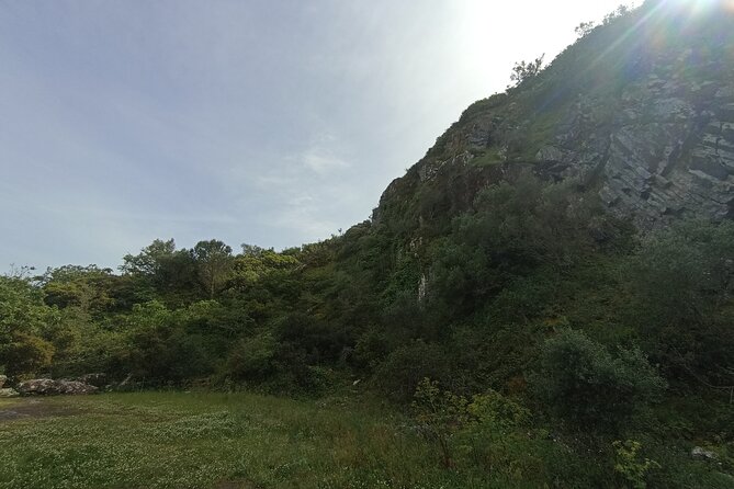 Hiking and Wine Tasting Experience - Customer Reviews