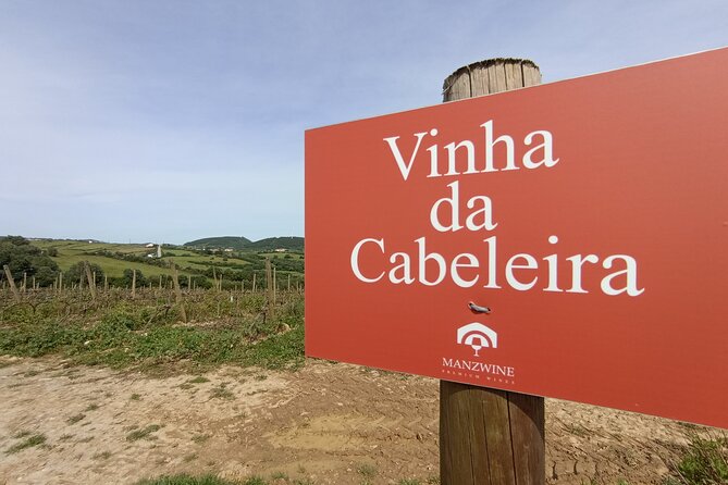Hiking and Wine Tasting Experience - Additional Information