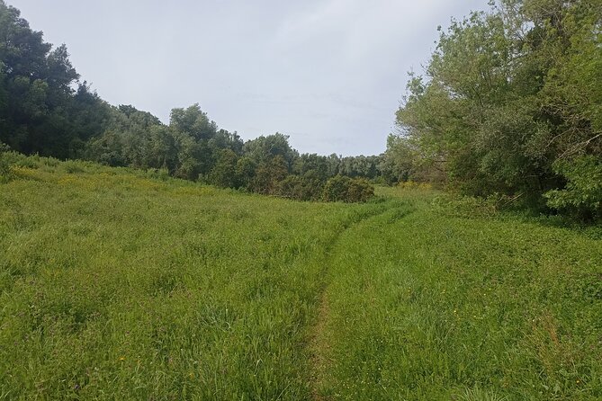 Hiking and Wine Tasting Experience - Frequently Asked Questions