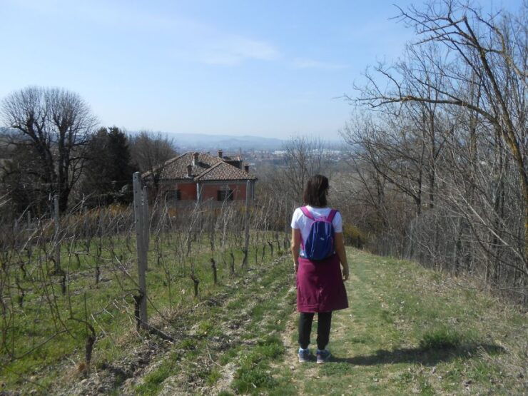 Hiking and Wine Tour Starting From Alba - Tour Overview