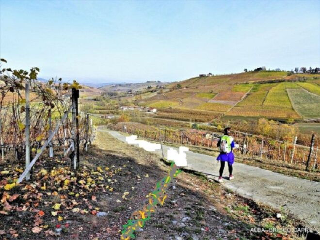 Hiking and Wine Tour Starting From Alba - Inclusions