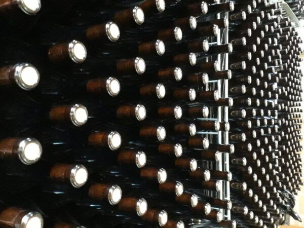 Hiking and Wine Tour Starting From Alba - Meeting Point