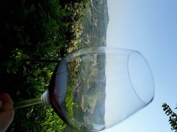 Hiking and Wine Tour Starting From Alba - Frequently Asked Questions