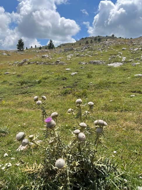 Hiking around Sarajevo: Lukomir Village Full Day Hiking Tour - Final Thoughts: Who Should Consider This Tour?