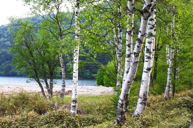 Hiking Around Yuno Lake: Revel in the Essence of Nikkos Nature and History - The Sum Up
