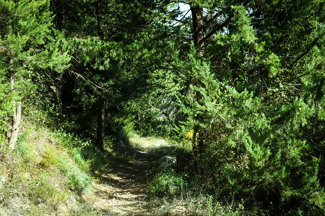 Hiking at Ancient Eleftherna Trail - Margarites, Crete - Group Size