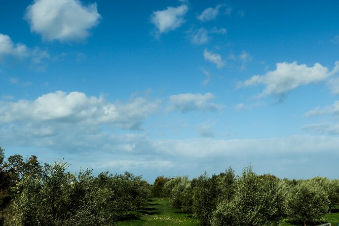 Hiking at Ancient Eleftherna Trail - Margarites, Crete - Frequently Asked Questions