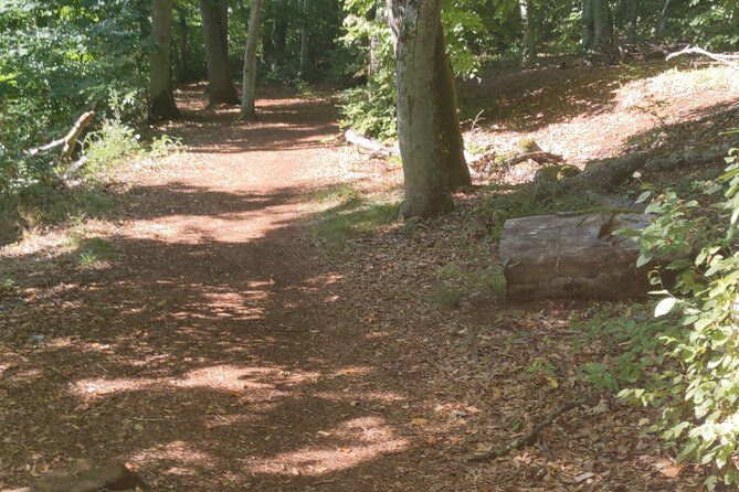 Hiking at Terres Rouges - Accessibility and Requirements