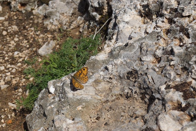 Hiking at the Best Hiking Trail: Peaks of the Balkans - The Sum Up