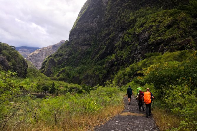 Hiking: Authentic Immersion in Mafate - Experience Local Flora and Fauna