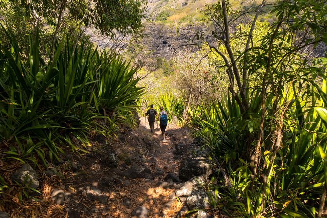 Hiking: Authentic Immersion in Mafate - Enjoy a Challenging Hike Adventure