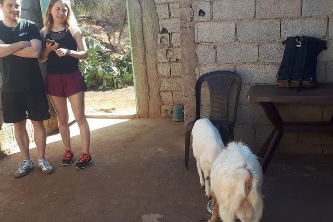 Hiking Beyond Paradise Valley - A Cultural Journey Through Morocco