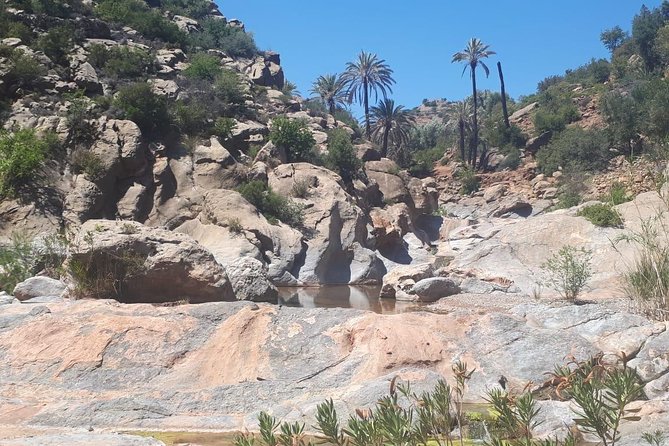 Hiking Beyond Paradise Valley - Exploring Flora and Fauna Along the Trek