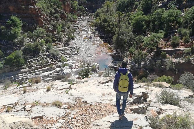 Hiking Beyond Paradise Valley - Taking in Berber Culture and Cuisine