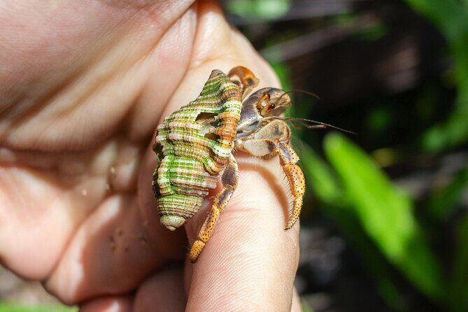 Hiking, Cliffs, Cave, and Taino Legends - FAQ