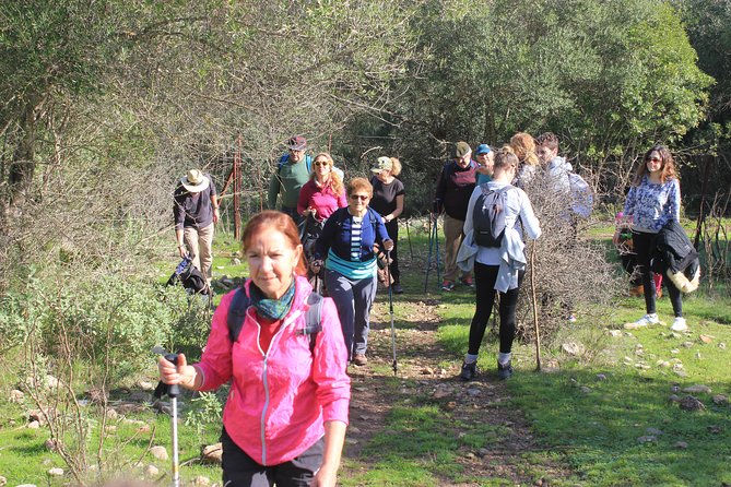 Hiking Costa De La Luz Zahora Barbate - Exploring the Countryside and Wild Areas