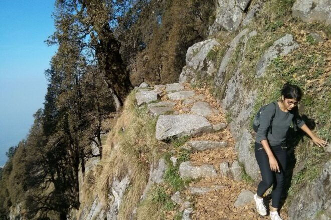 Hiking Day Tour to Triund From Dharamshala - Full Description of the Hike