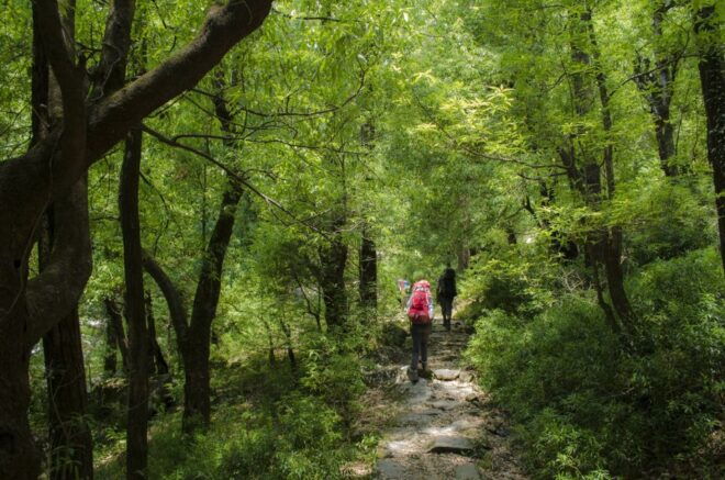 Hiking Day Tour to Triund From Dharamshala - Common Questions