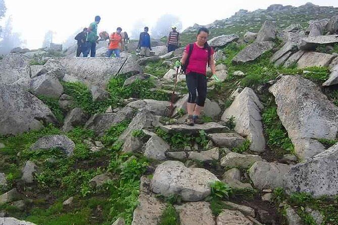 Hiking Day Tour to Triund from Dharamshala - What Makes This Tour Worth Considering?