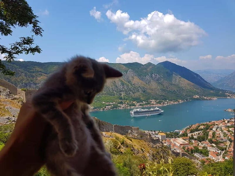Hiking downhill Krstac to Kotor, visit San Giovanni fortress - Who Should Consider This Tour?