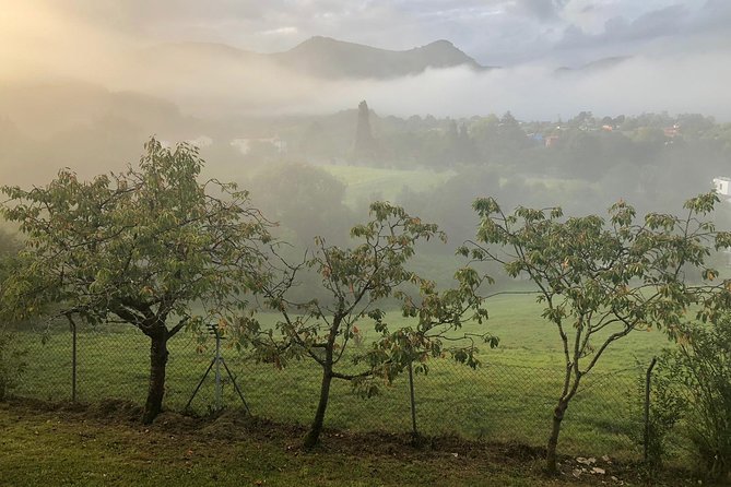 Hiking, Eating and Relaxing in an 18th Century Spa Near Oviedo - Overview of the 18th Century Spa