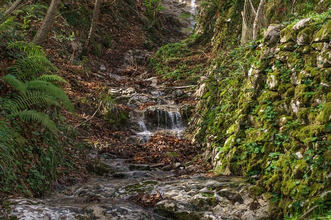 Hiking Experience - Amalfi Natural Reserve Valle Delle Ferriere - Inclusions and Pricing Details