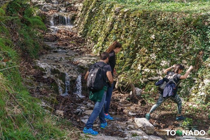Hiking Experience - Amalfi Natural Reserve Valle Delle Ferriere - Operator and Review Information