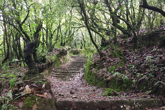 Hiking Experience From Shivapuri to Nagi Gumba to Baghdwar - Duration of the Activity