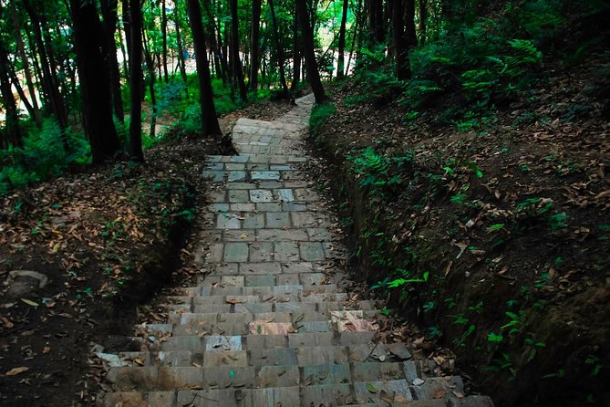 Hiking Experience From Shivapuri to Nagi Gumba to Baghdwar - Additional Information