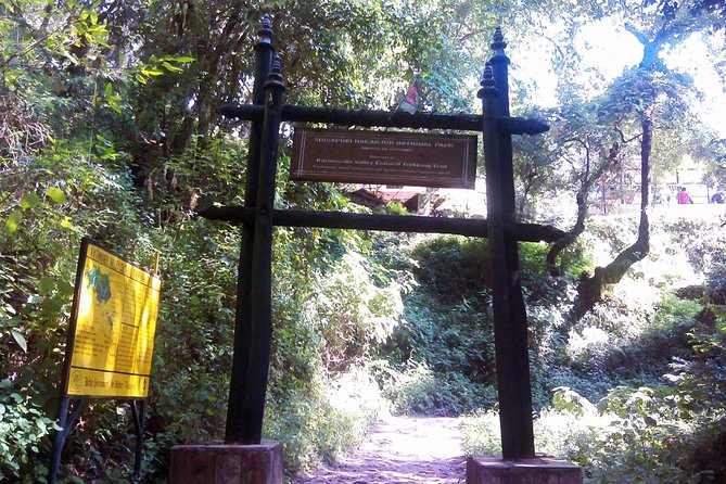 Hiking Experience From Shivapuri to Nagi Gumba to Baghdwar - Preparation Tips