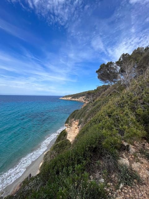 Hiking Experiences in Menorca Private Guided Half Day - Good To Know