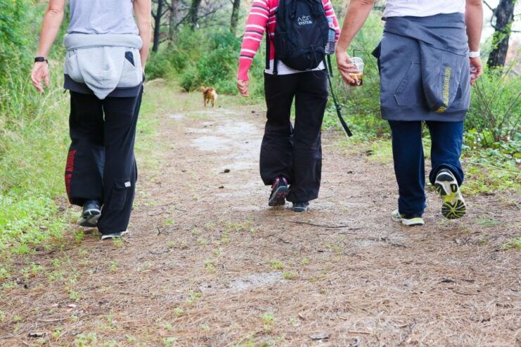 Hiking Filerimos | 3 Hours | Sandwich Included - Good To Know