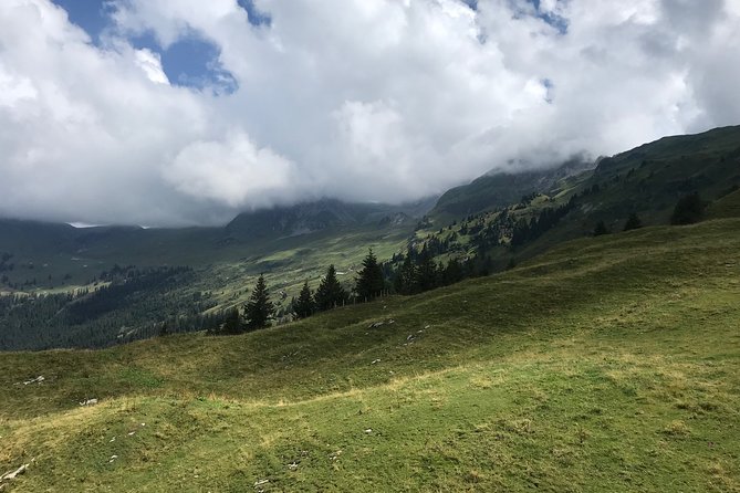 Hiking for Starters (Private Tour) - Common Questions