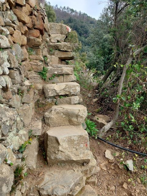Hiking From Riomaggiore to Portovenere - Activity Highlights