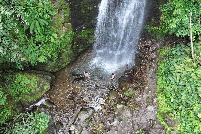 Hiking in Batumi ( Mtirala National Park) - Authentic Insights from Past Travelers