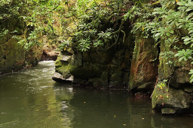 Hiking in Batumi ( Mtirala National Park) - Final Words