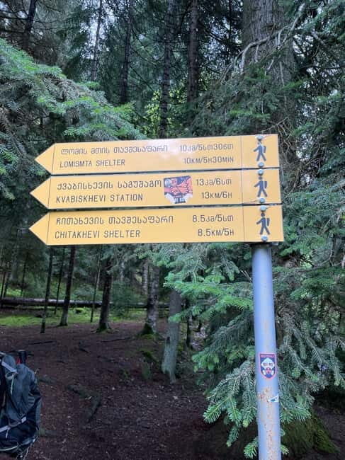 Hiking in Borjomi from Tbilisi - Why This Tour Works