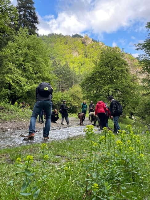Hiking in Borjomi from Tbilisi - Final Thoughts
